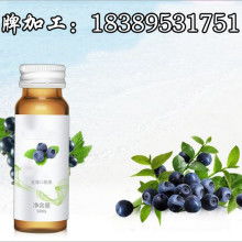 越秀真朴苑 以植物押花诠释自然之美